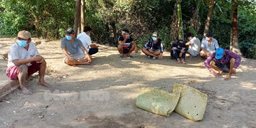 Bến Tre: Bắt quả tang nhóm đánh bạc dưới hình thức đá gà ăn thua bằng tiền