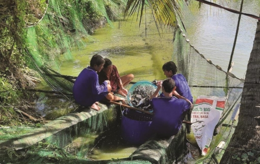Quỹ Quốc gia về việc làm, bệ đỡ cho người dân thoát nghèo