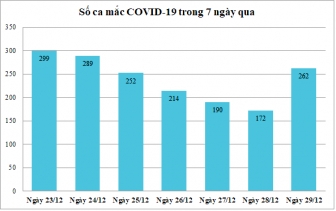 Ngày 29-12: An Giang ghi nhận 262 ca mắc COVID-19, điều trị khỏi bệnh 328 ca