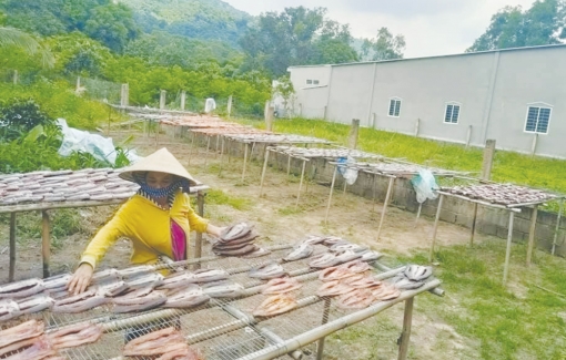 Thị trường khô tất bật vào vụ