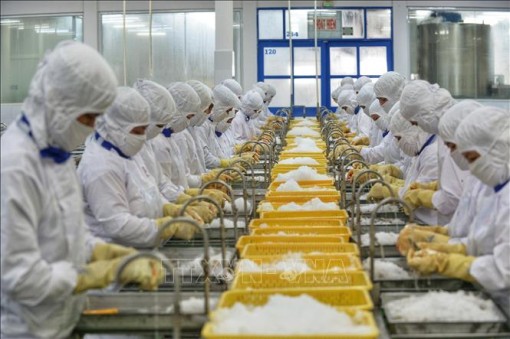 Tổng cục Thống kê: Kinh tế năm 2022 sẽ khả quan nhờ thích ứng với bình thường mới