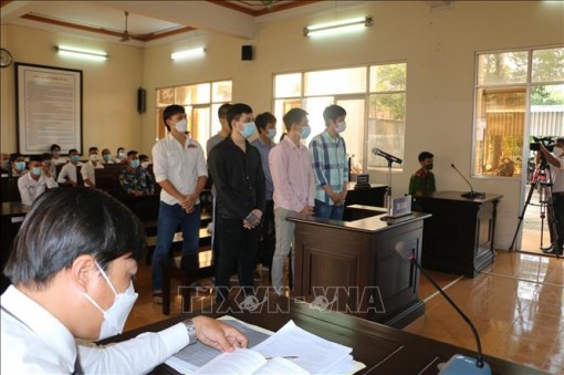 Tuyên án đối với băng nhóm siêu trộm xe ở Bạc Liêu
