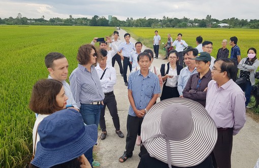 Động lực tăng trưởng từ nông nghiệp An Giang