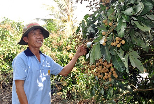 Hậu Giang: Nỗ lực hoàn thành chỉ tiêu kinh tế - xã hội