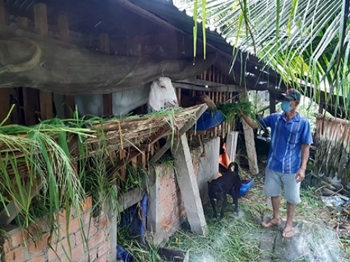 Hậu Giang: Vượt khó để phát triển