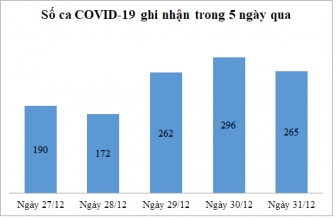 Ngày 31-12: An Giang phát hiện 265 ca mắc COVID-19, điều trị khỏi bệnh 347 ca