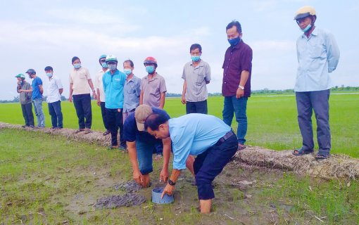 Hội Nông dân tỉnh An Giang tập huấn kỹ thuật canh tác lúa thân thiện với môi trường