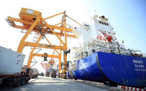 Nỗ lực thích ứng, xuất nhập khẩu 2021 lập kỳ tích