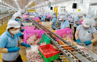 Tập đoàn Nam Việt xuất khẩu lô hàng cá tra đầu tiên trong năm mới trị giá 20 triệu USD