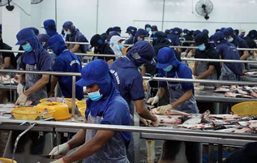 Hậu Giang: Thành phố Ngã Bảy thực hiện đạt và vượt nhiều chỉ tiêu phát triển kinh tế - xã hội