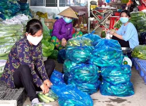 Long An: Hợp tác xã nông nghiệp mắt xích quan trọng trong chuỗi cung ứng nông sản