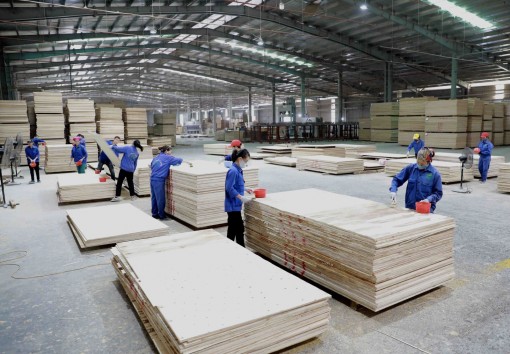 Vượt ‘bão COVID-19’, đất nước vững vàng bước vào năm mới 2022