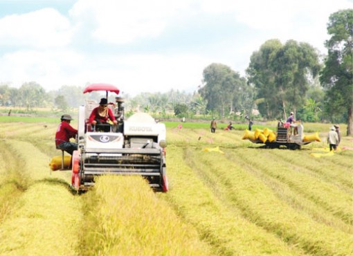 Long An: Nỗ lực thực hiện nhiệm vụ ngay từ đầu năm