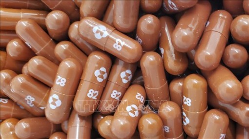 Hàn Quốc sắp tiếp nhận thuốc viên dạng uống điều trị COVID-19