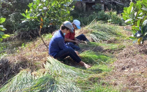 Phía sau thang thuốc hỗ trợ bệnh nhân COVID-19