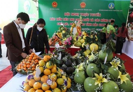 Thúc đẩy tiêu thụ nông sản nội địa vì khó khăn xuất khẩu còn kéo dài