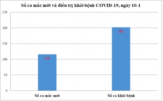 Ngày 10-1: An Giang ghi nhận 116 ca mắc COVID-19