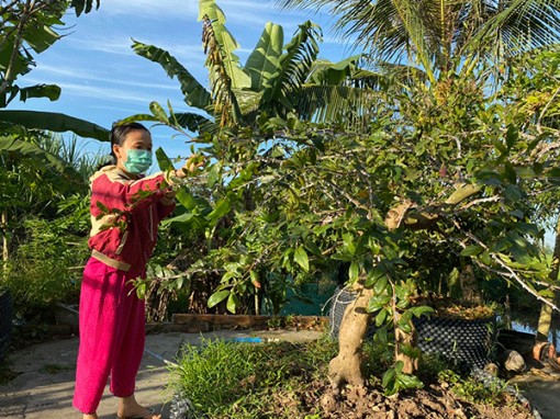 Cần Thơ: Cảnh giác tình trạng trộm cắp tài sản