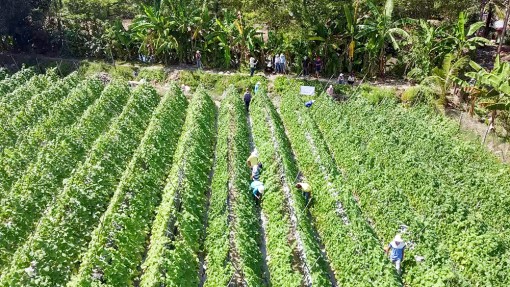 “Chuyển đổi” để “tăng thu”