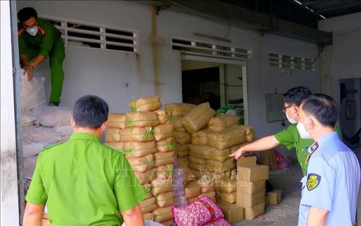 Công an Bạc Liêu bắt giữ, xử lý các đối tượng vi phạm pháp luật