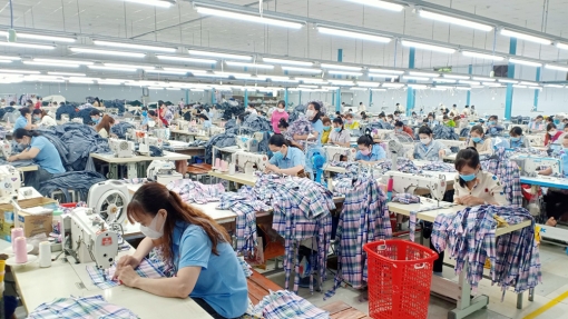 Khôi phục sản xuất - kinh doanh