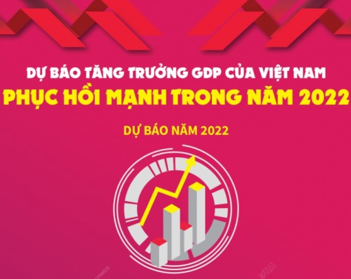 Dự báo tăng trưởng GDP của Việt Nam phục hồi mạnh trong năm 2022