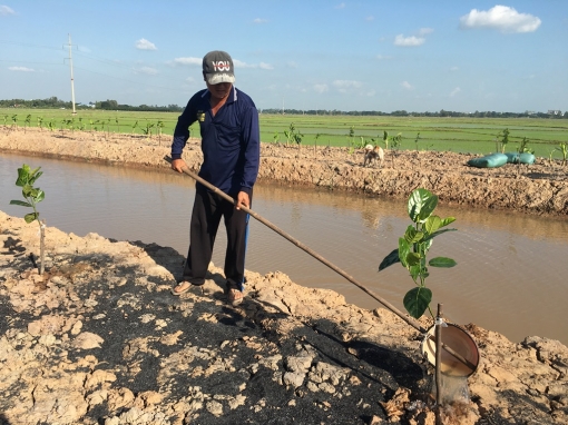 Kiên định phát triển dựa vào nông nghiệp