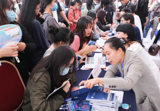 Tuyển sinh ĐH 2022: Không có sự bất bình đẳng khi xét tuyển bằng IELTS, TOEFL