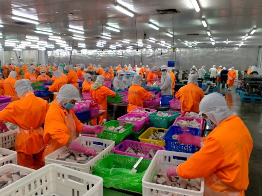 Đầu năm, xuất khẩu thủy sản tăng mạnh
