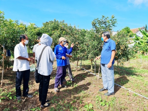 An Giang nâng chất phong trào nông dân