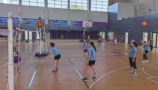 An Giang nô nức hoạt động chào xuân