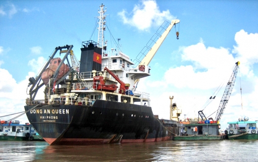 Sức sống đầu xuân tại Cảng An Giang
