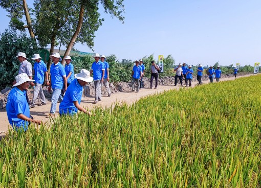 Vui xuân không quên đồng ruộng