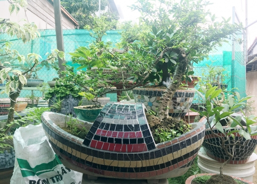 Độc đáo những chiếc chậu thuyền