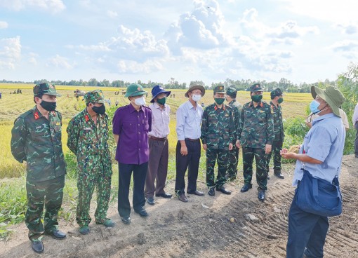 Nông nghiệp An Giang đón đầu cơ hội mới