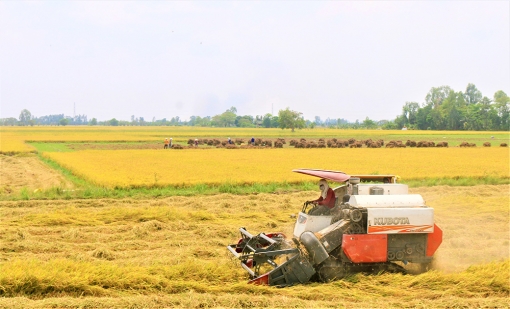 Ước vọng năm mới