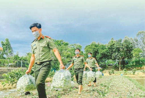 Cùng nông dân vượt qua đại dịch