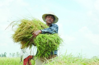 Một nông sản thế mạnh của Việt Nam tỏa hương thơm ngát ở trời Âu