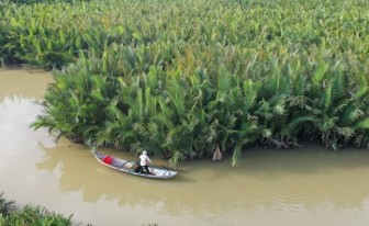 Khám phá rừng dừa nước trăm tuổi trên dòng Kinh Giang