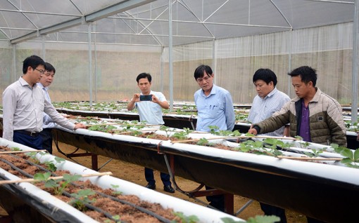 Tỏa sáng tư tưởng, đạo đức, phong cách Chủ tịch Hồ Chí Minh