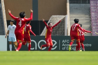 Đội tuyển bóng đá nữ Việt Nam về nước bằng chuyên cơ