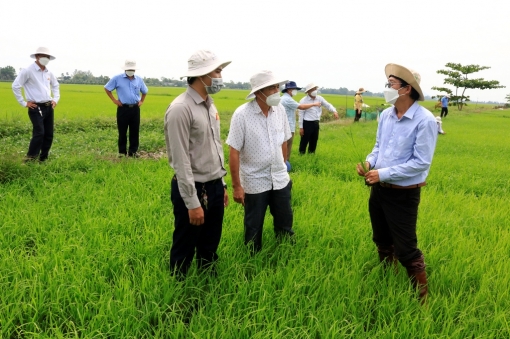 Các ngành chức năng ở An Giang thăm đồng đầu năm