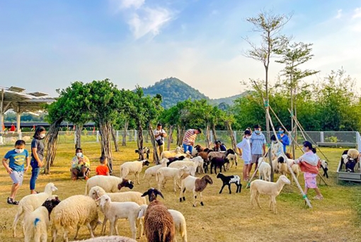 Tín hiệu vui cho du lịch An Giang