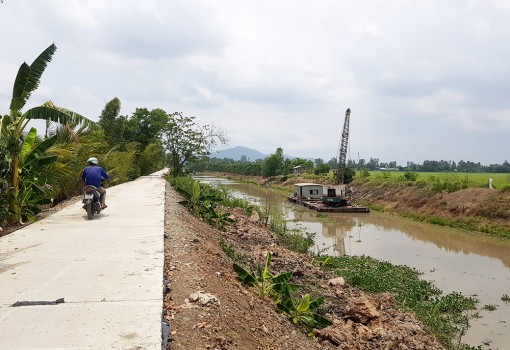 Ứng phó hạn, mặn, bảo vệ sản xuất