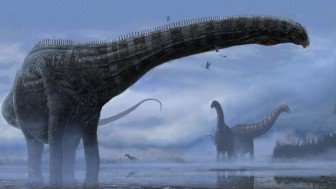 Hóa thạch hé lộ về bệnh tật của loài khủng long thời tiền sử