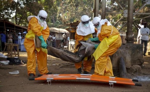 Virus Ebola vẫn tồn tại trong não người nhiều năm sau khi khỏi bệnh