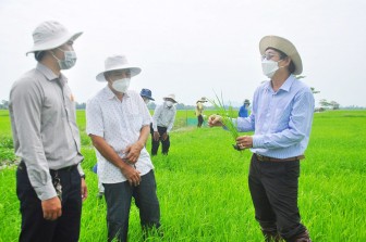 Đầu năm thăm mô hình sản xuất mới tại huyện Thoại Sơn