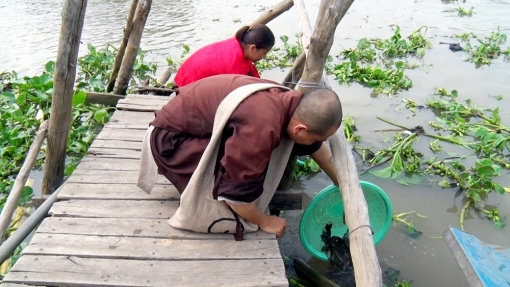 Gần nửa tấn cá được thả phóng sinh dịp rằm tháng Giêng