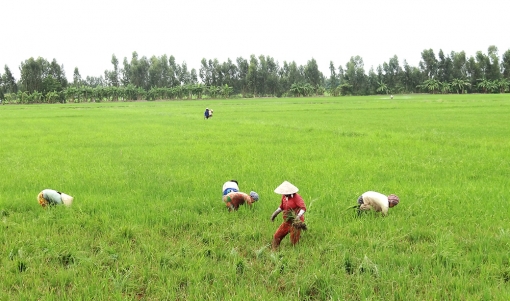 Chính sách, pháp luật mới tháng 2-2022