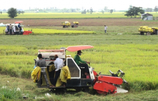 Huyện Châu Phú tập trung nhiệm vụ năm mới